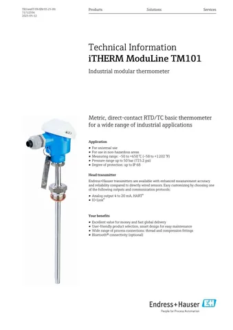 Endress+Hauser iTHERM ModuLine TM101 Temperature Sensor