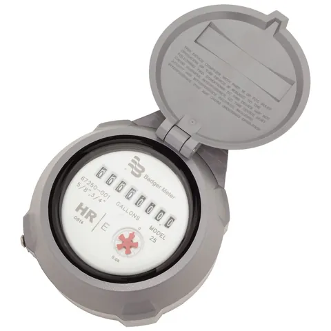 Badger Meter Recordall Registration and Endpoint