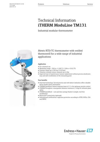 Endress+Hauser iTHERM ModuLine TM131 Industrial Modular Thermometer