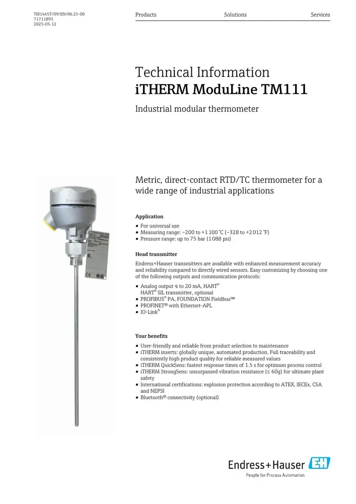 Sensor de temperatura E+H iTHERM ModuLine TM111