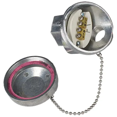 Watlow AR Style Mineral Insulated Thermocouple with Connection Head