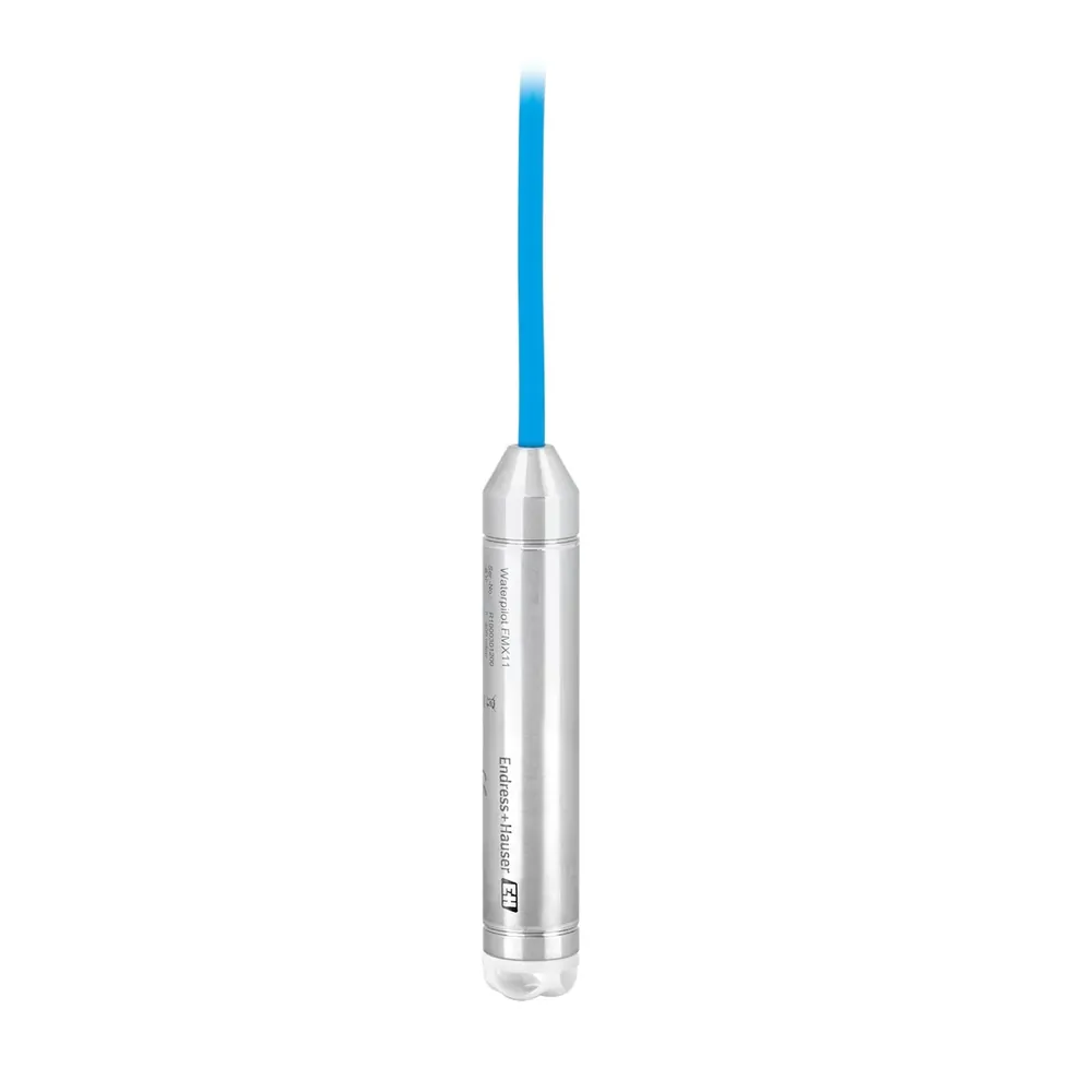 Endress+Hauser Waterpilot FMX11 Level Transmitter