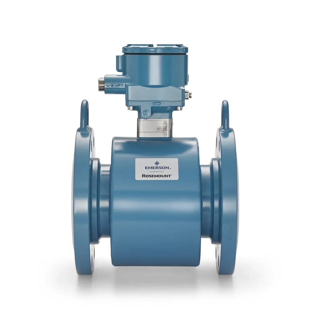 Rosemount 8700 Series Hygienic Magmeter Options