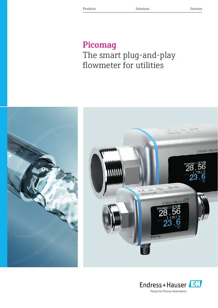 E+H Picomag DMA Electromagnetic Flow Meter