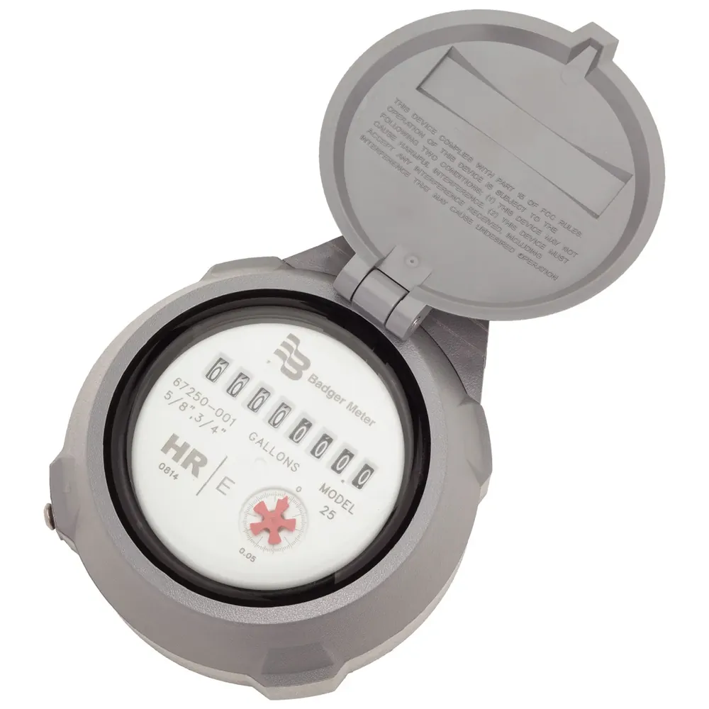Badger Meter Recordall Registration and Endpoint